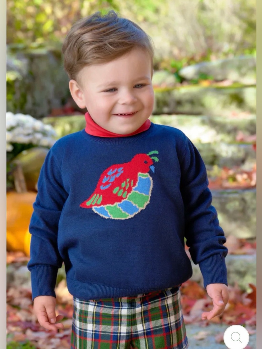 *NEW* The Beaufort Bonnet Co Quail Isaac’s Intarsia Sweater - 6-12M